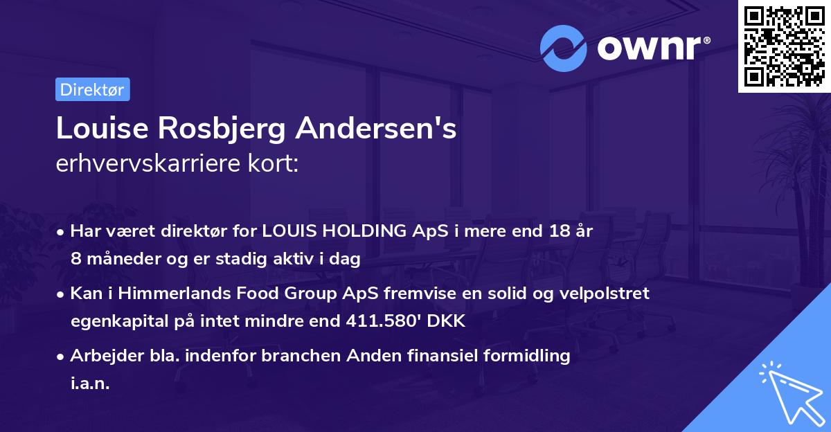 Louise Rosbjerg Andersen's erhvervskarriere kort