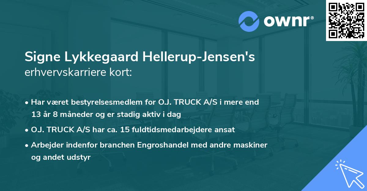 Signe Lykkegaard Hellerup-Jensen's erhvervskarriere kort