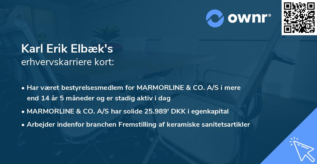 Karl Erik Elbæk's erhvervskarriere kort