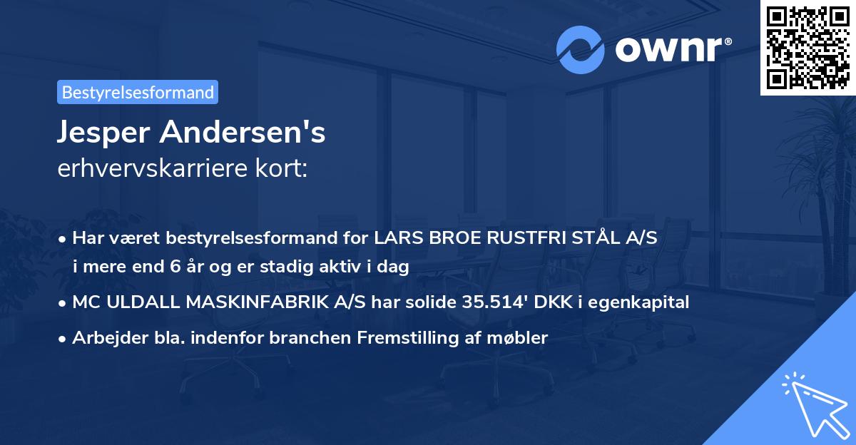 Jesper Andersen's erhvervskarriere kort