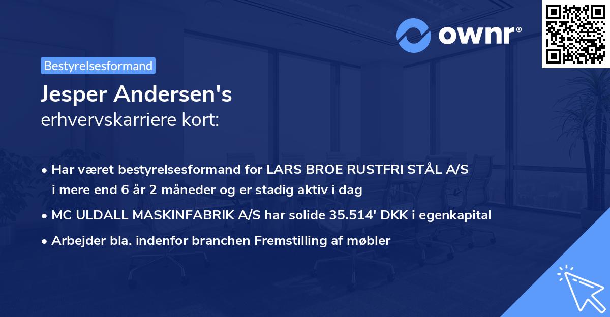 Jesper Andersen's erhvervskarriere kort