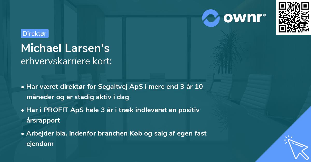 Michael Larsen's erhvervskarriere kort