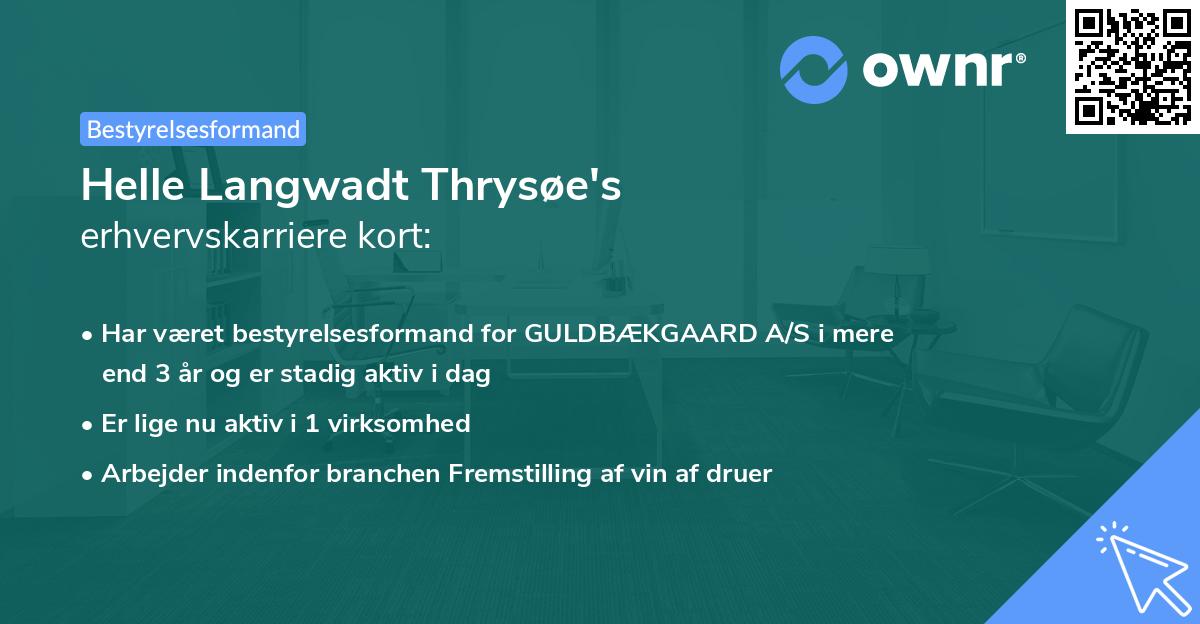 Helle Langwadt Thrysøe's erhvervskarriere kort