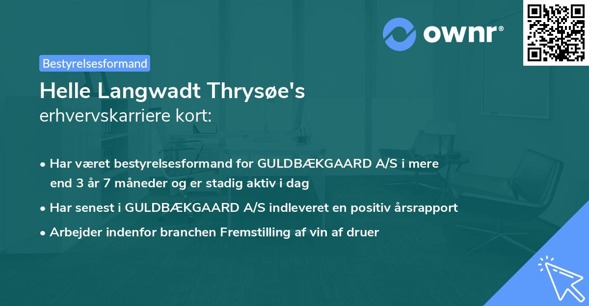 Helle Langwadt Thrysøe's erhvervskarriere kort