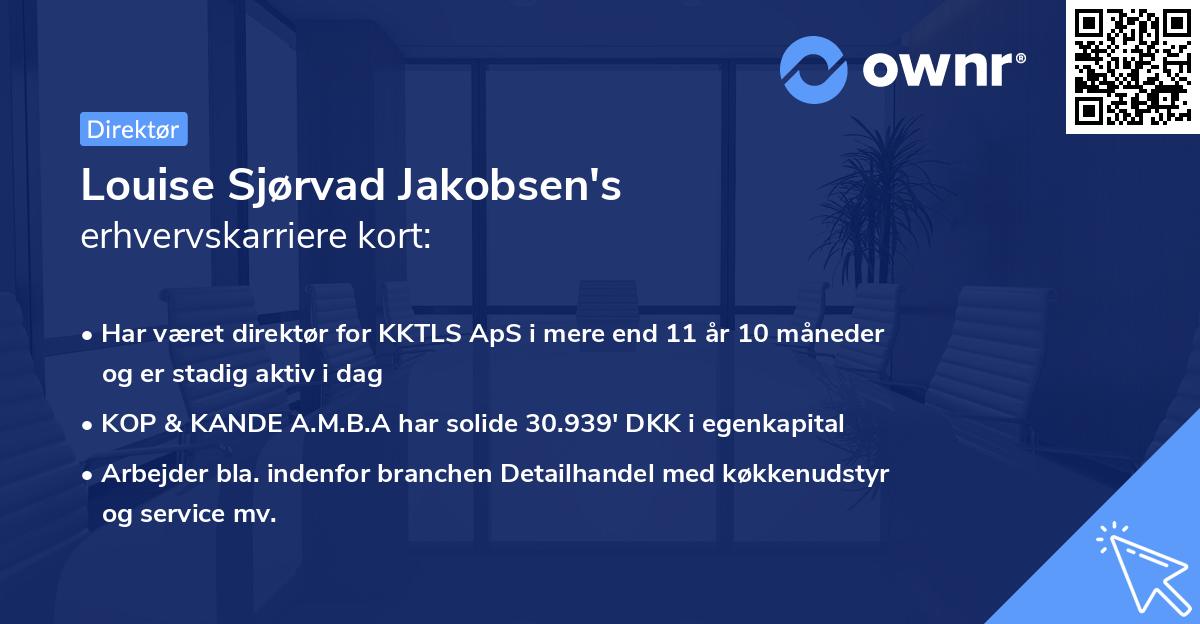Louise Sjørvad Jakobsen's erhvervskarriere kort