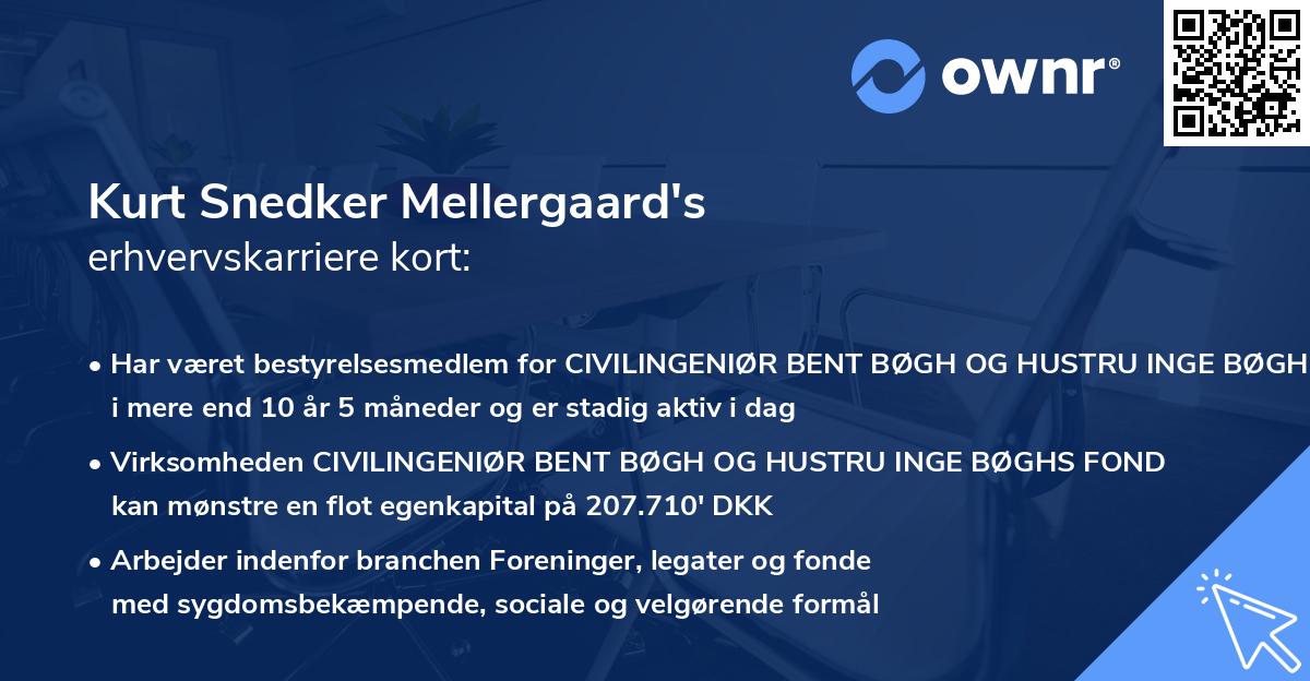 Kurt Snedker Mellergaard's erhvervskarriere kort