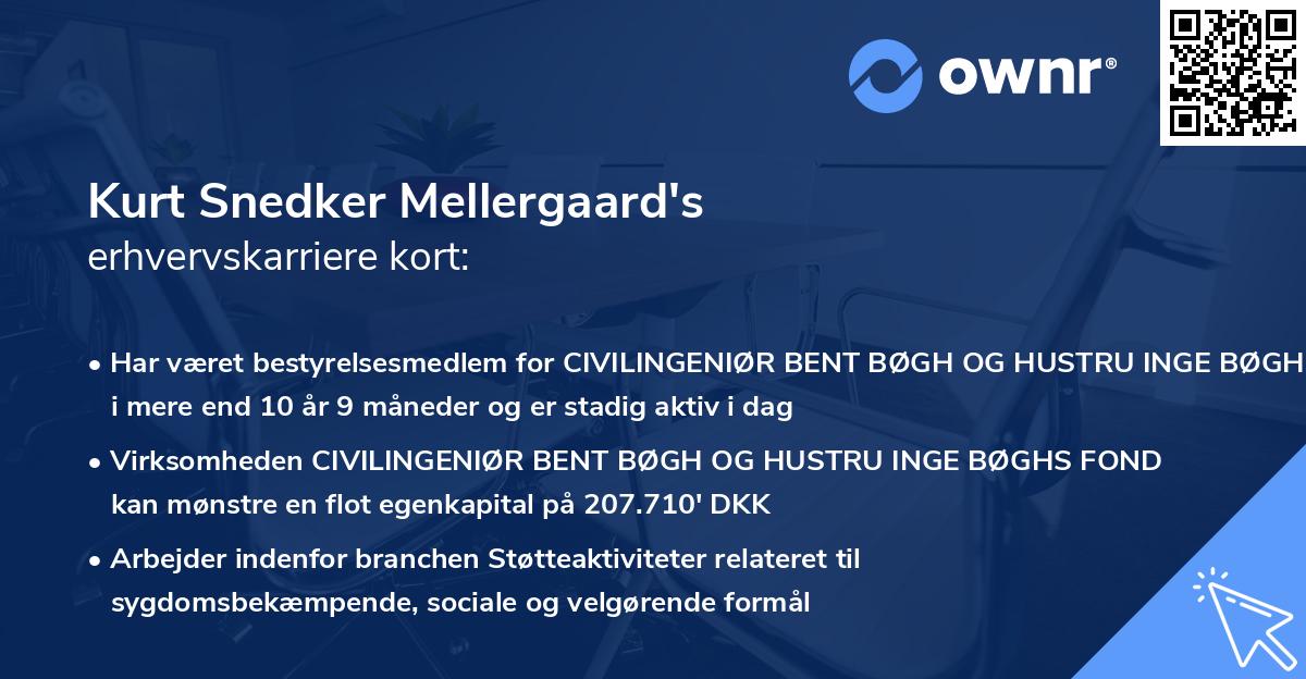 Kurt Snedker Mellergaard's erhvervskarriere kort