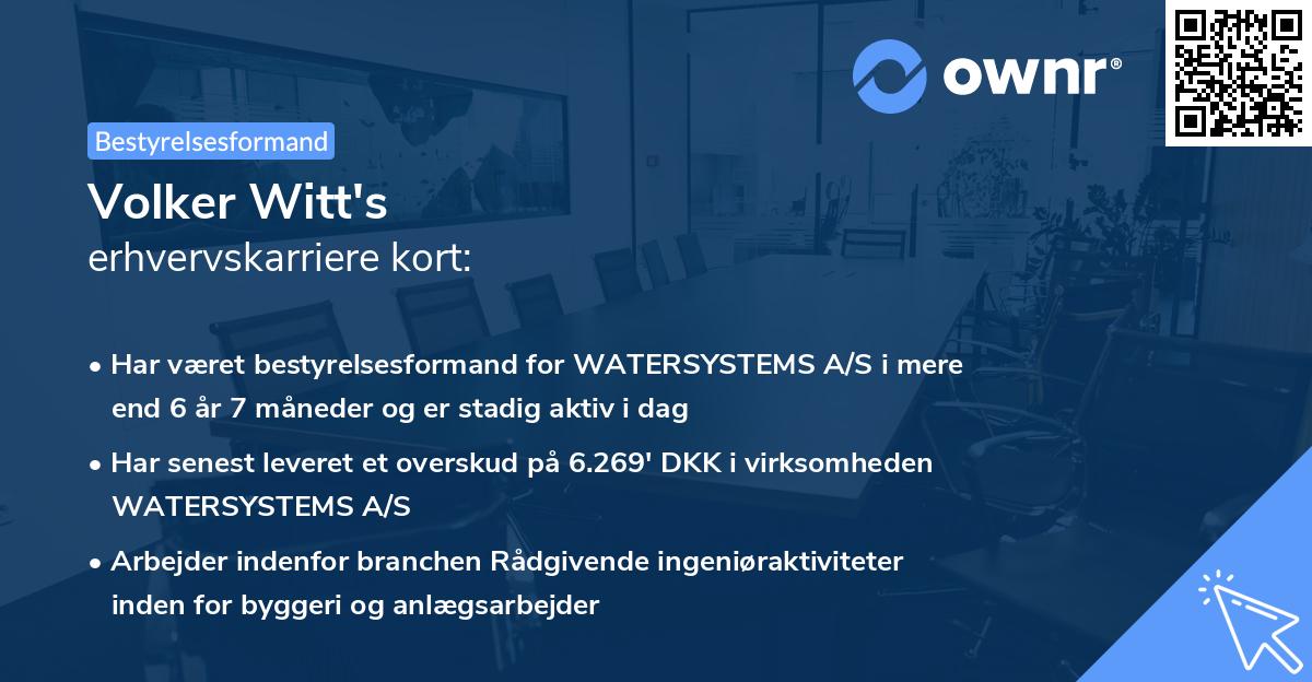 Volker Witt's erhvervskarriere kort