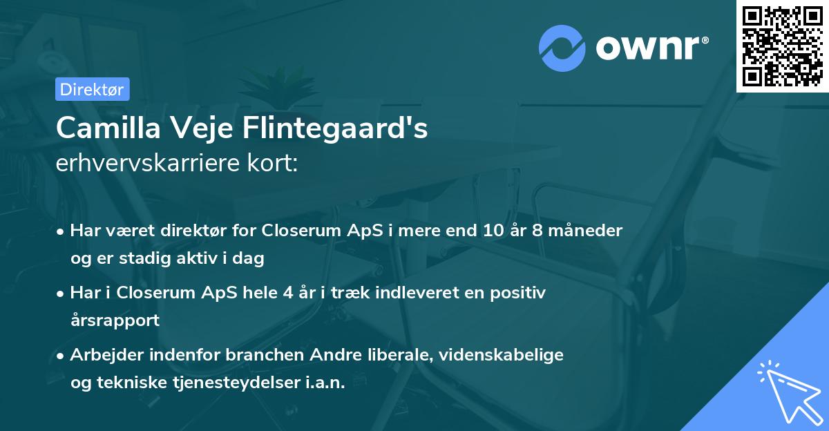 Camilla Veje Flintegaard's erhvervskarriere kort