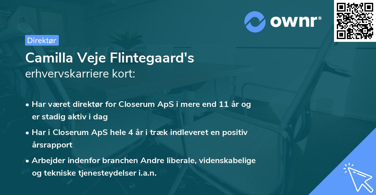Camilla Veje Flintegaard's erhvervskarriere kort