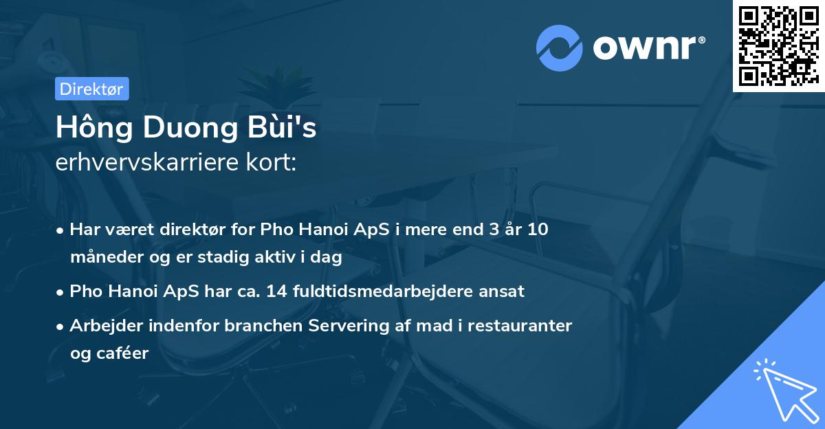 Hông Duong Bùi's erhvervskarriere kort