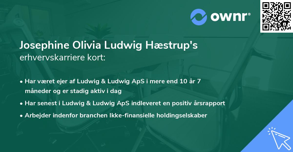 Josephine Olivia Ludwig Hæstrup's erhvervskarriere kort