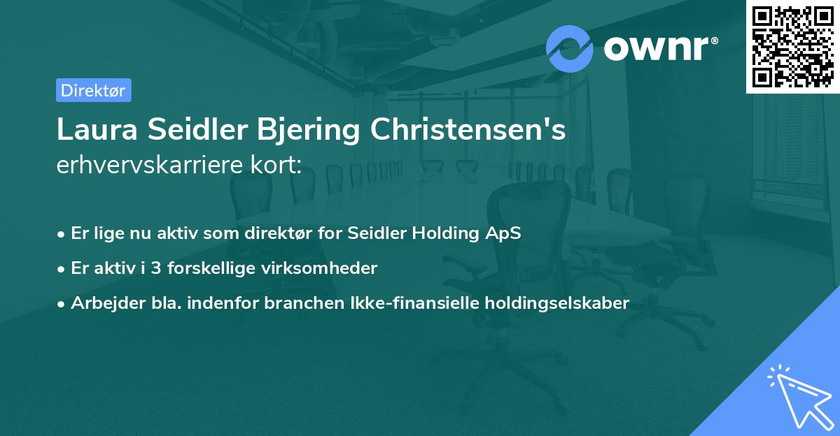 Laura Seidler Bjering Christensen's erhvervskarriere kort