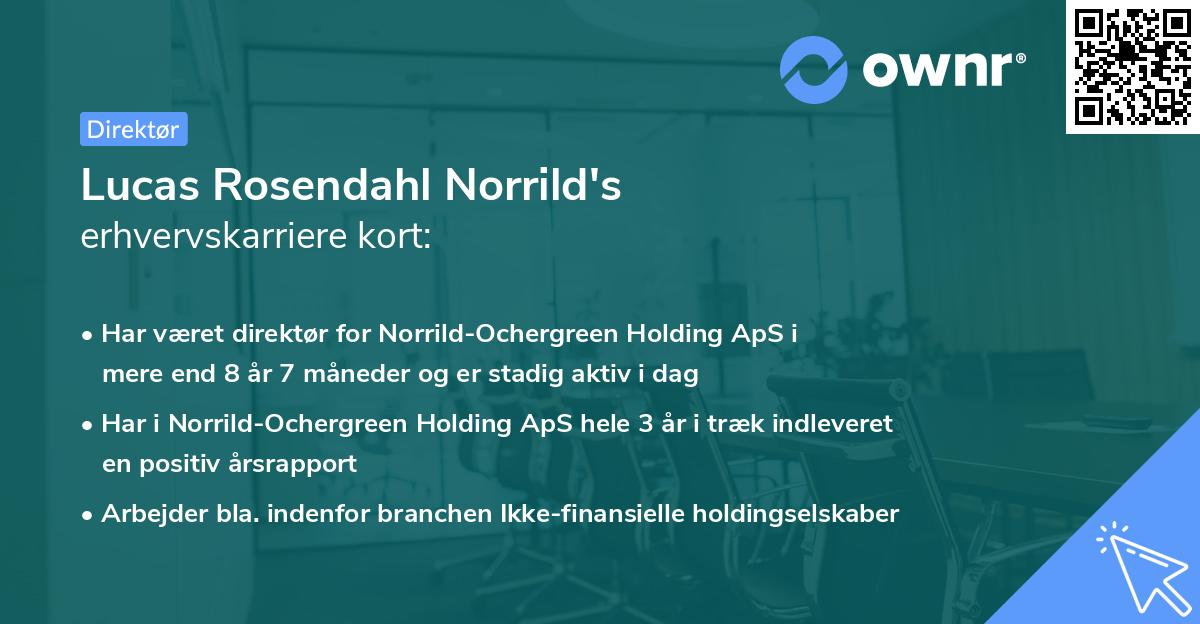 Lucas Rosendahl Norrild's erhvervskarriere kort
