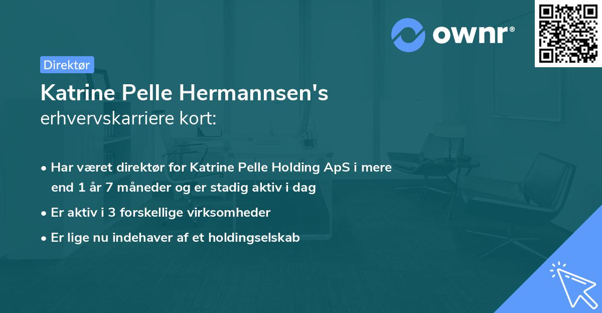 Katrine Pelle Hermannsen's erhvervskarriere kort