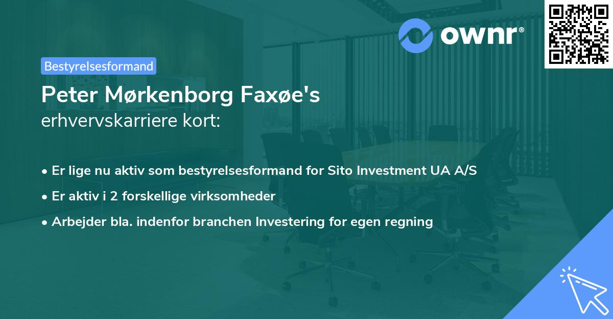 Peter Mørkenborg Faxøe's erhvervskarriere kort