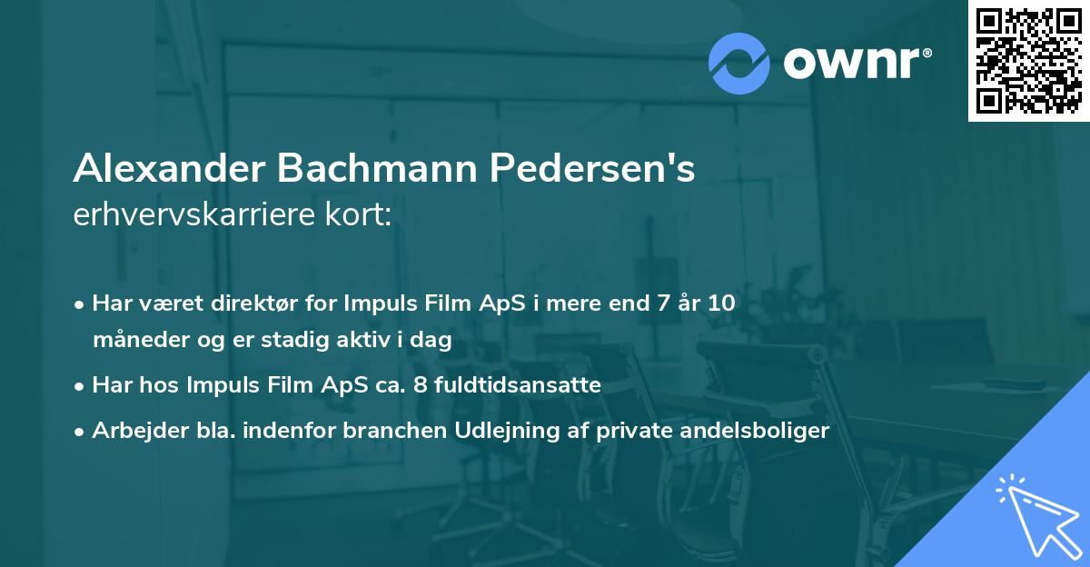 Alexander Bachmann Pedersen's erhvervskarriere kort