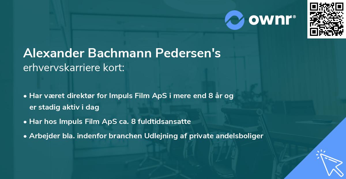 Alexander Bachmann Pedersen's erhvervskarriere kort