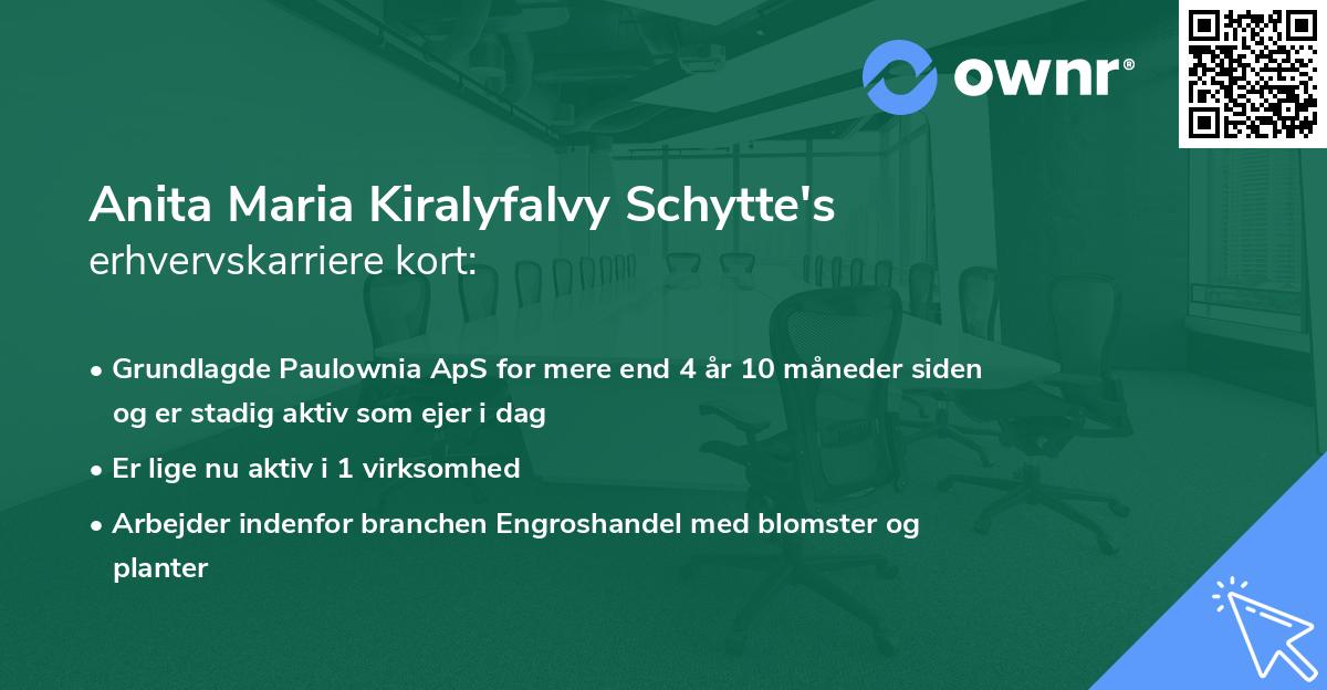 Anita Maria Kiralyfalvy Schytte's erhvervskarriere kort