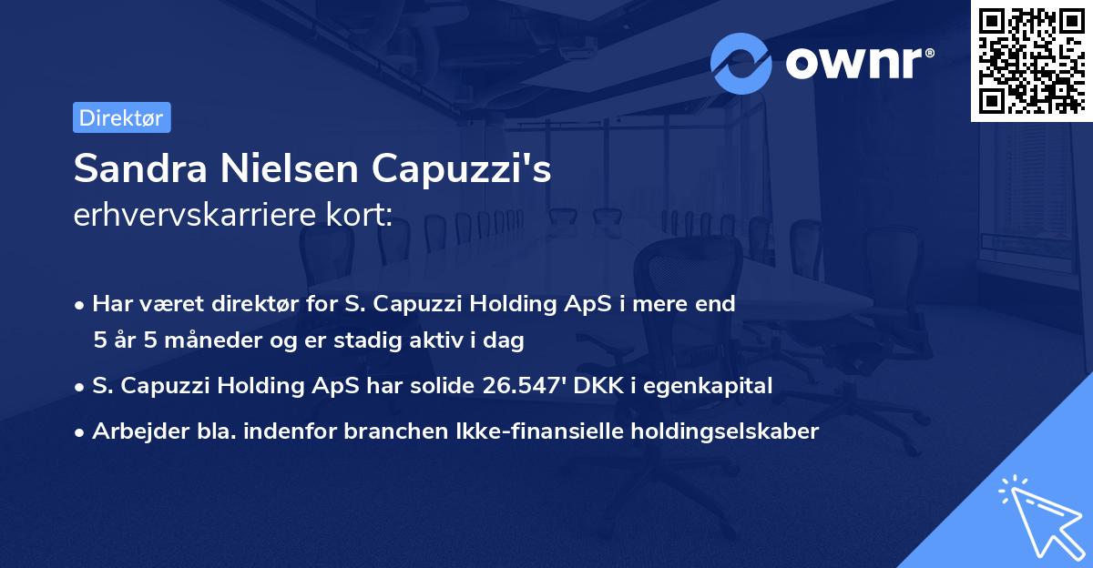 Sandra Nielsen Capuzzi's erhvervskarriere kort