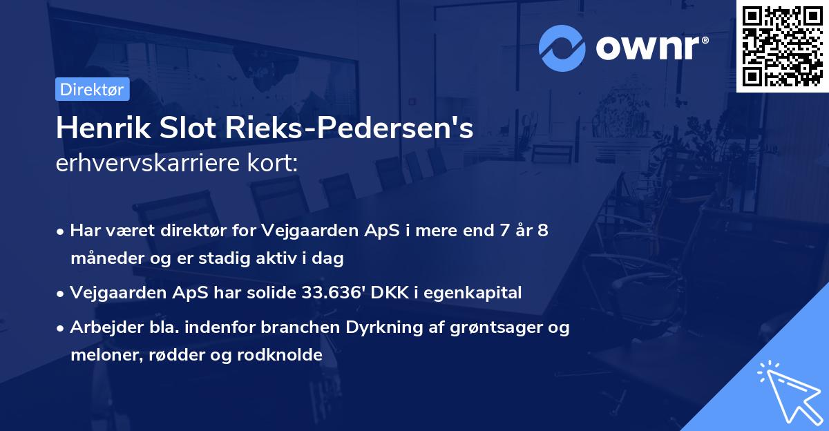 Henrik Slot Rieks-Pedersen's erhvervskarriere kort