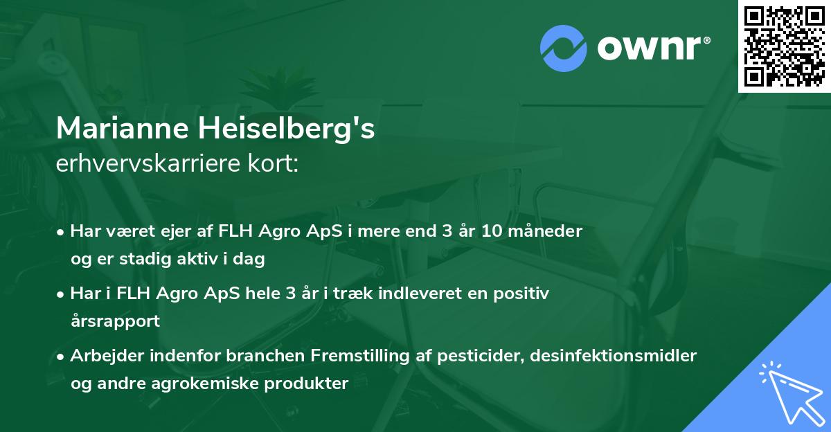 Marianne Heiselberg's erhvervskarriere kort