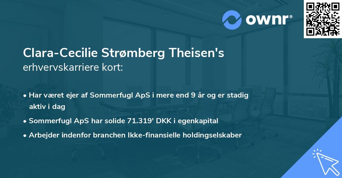Clara-Cecilie Strømberg Theisen's erhvervskarriere kort