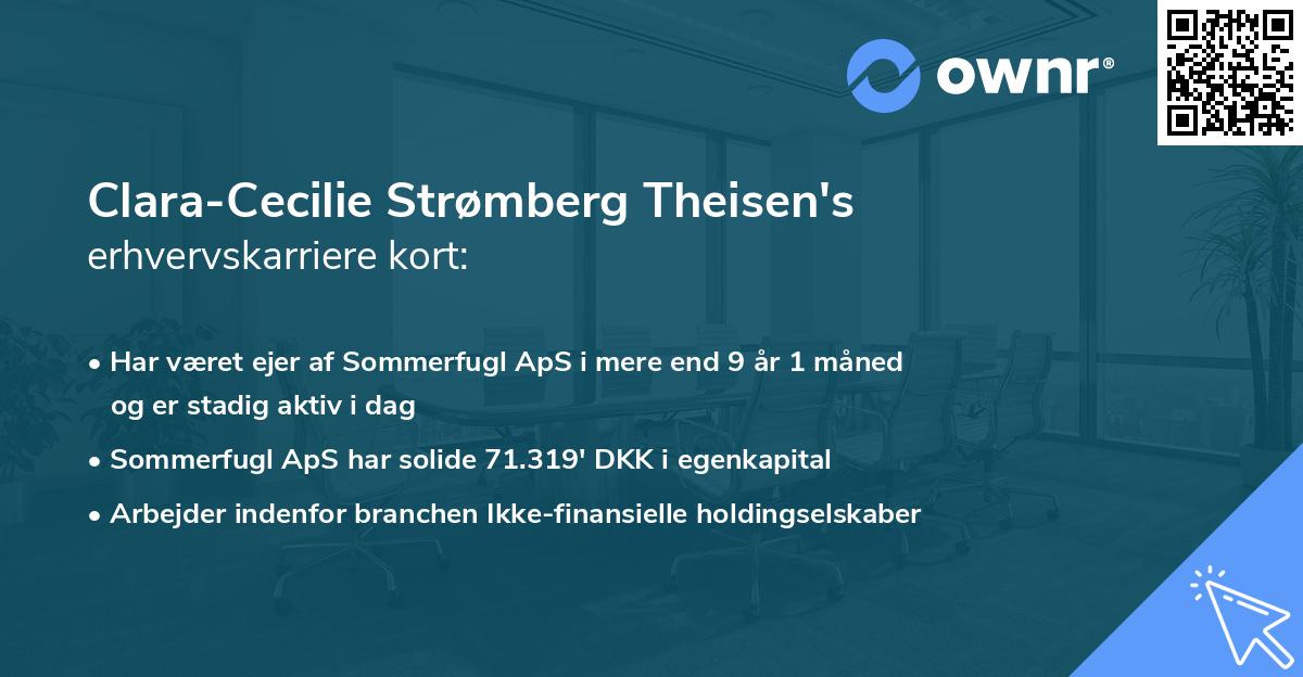 Clara-Cecilie Strømberg Theisen's erhvervskarriere kort