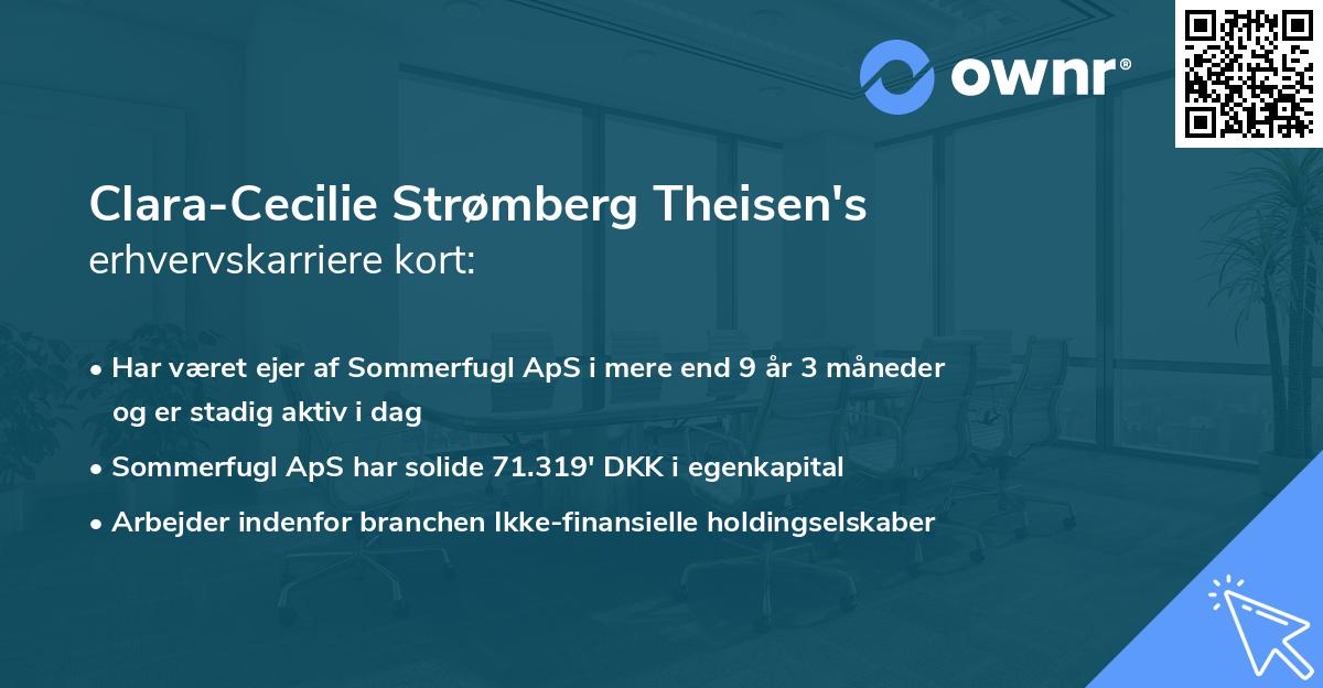 Clara-Cecilie Strømberg Theisen's erhvervskarriere kort