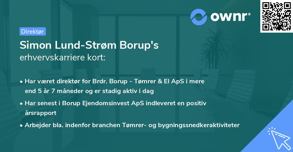 Simon Lund-Strøm Borup's erhvervskarriere kort