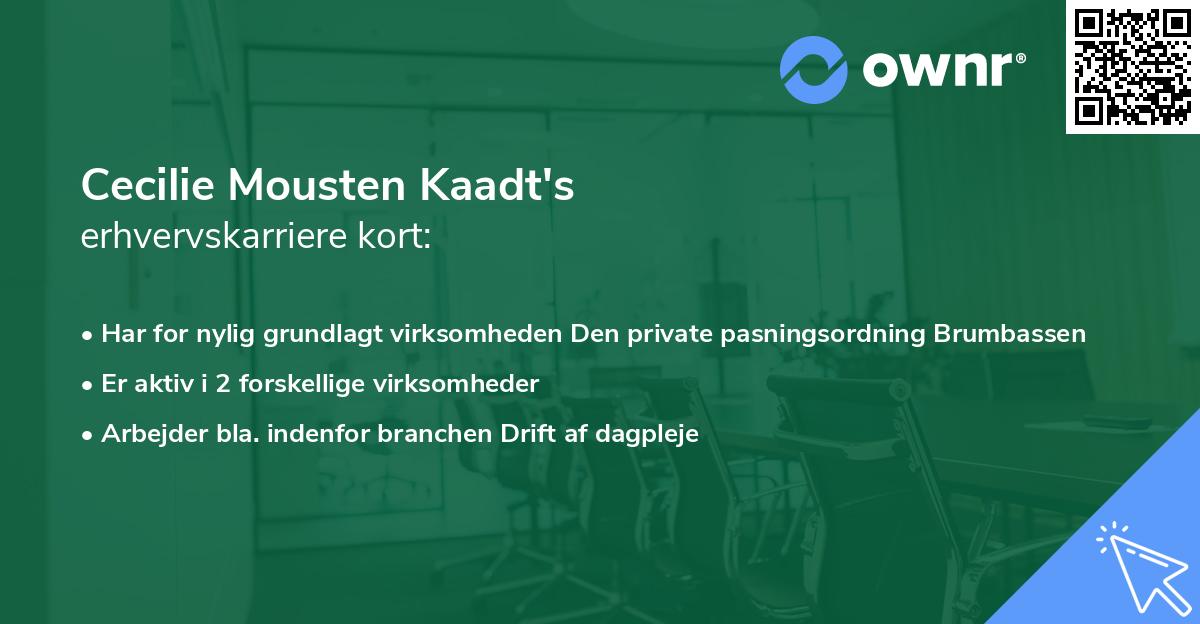 Cecilie Mousten Kaadt's erhvervskarriere kort