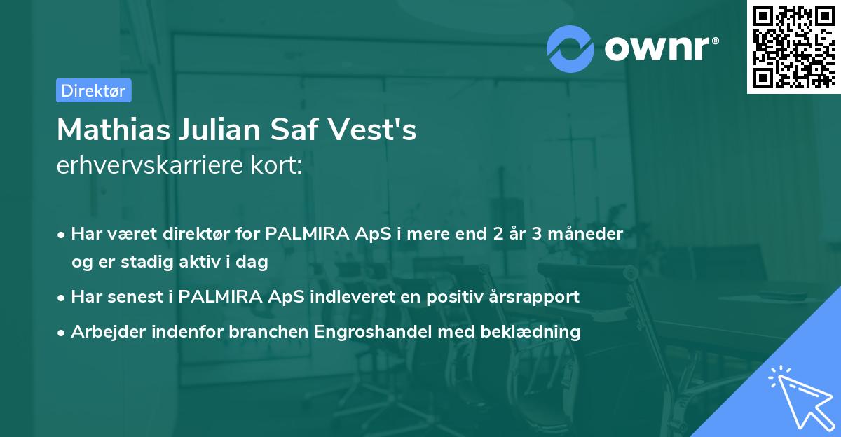 Mathias Julian Saf Vest's erhvervskarriere kort