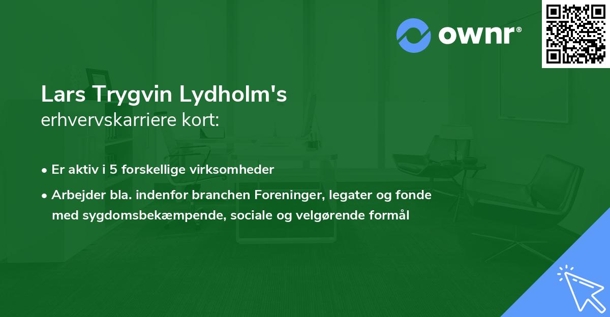 Lars Trygvin Lydholm's erhvervskarriere kort