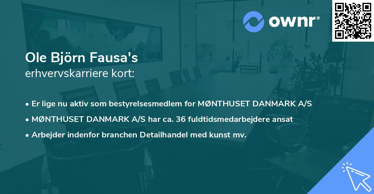 Ole Björn Fausa's erhvervskarriere kort