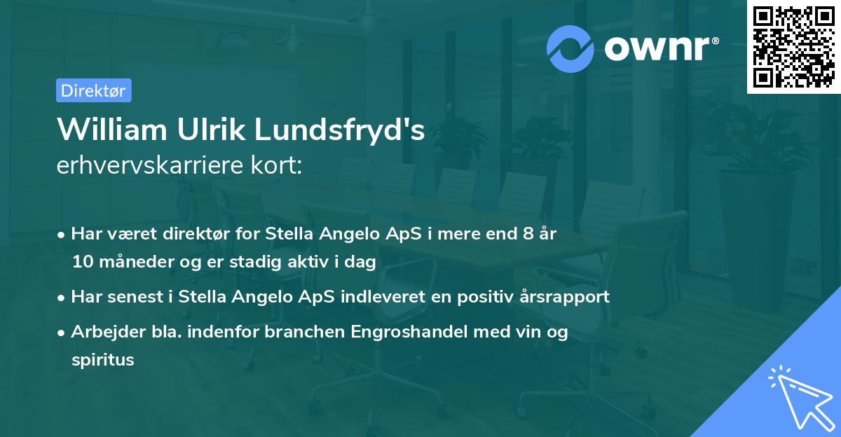 William Ulrik Lundsfryd's erhvervskarriere kort