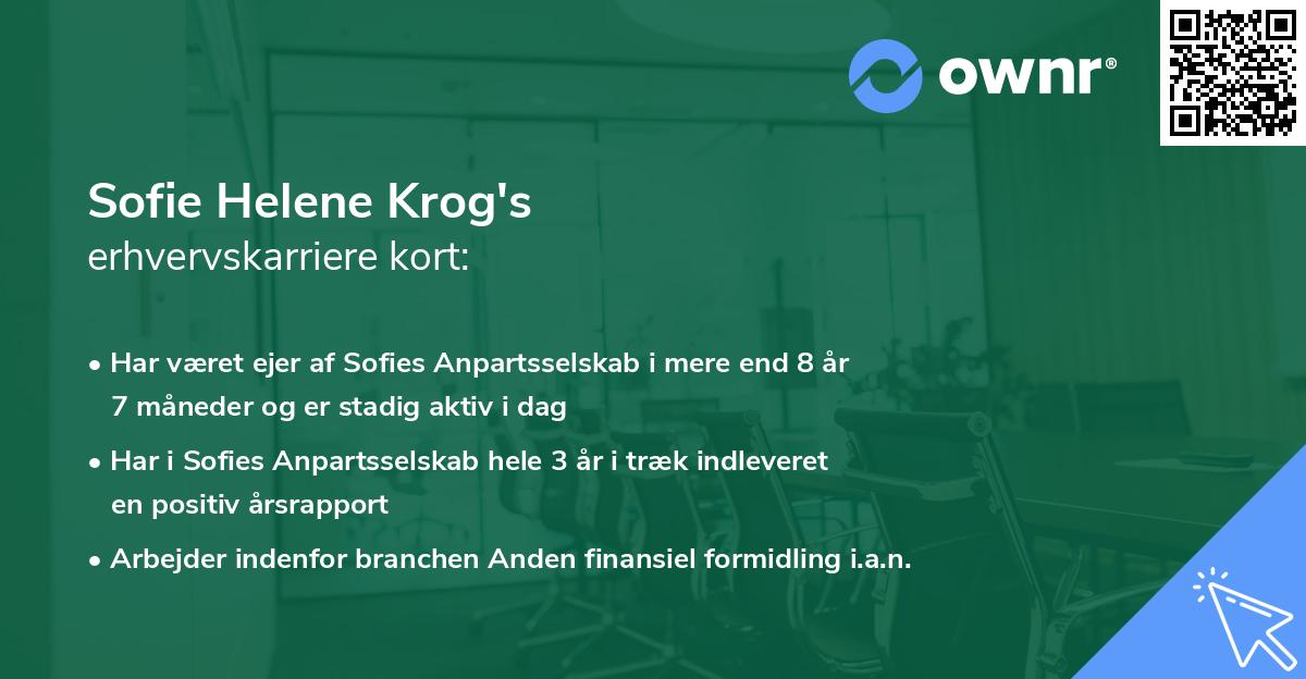 Sofie Helene Krog's erhvervskarriere kort