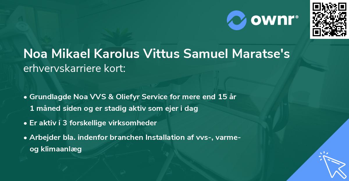 Noa Mikael Karolus Vittus Samuel Maratse's erhvervskarriere kort