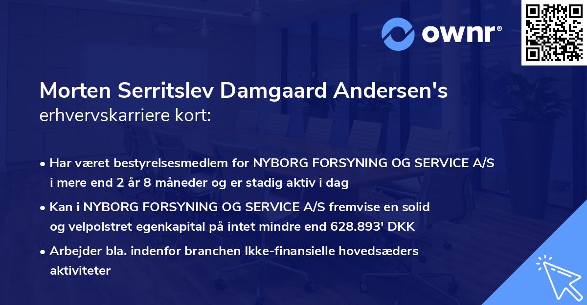 Morten Serritslev Damgaard Andersen's erhvervskarriere kort