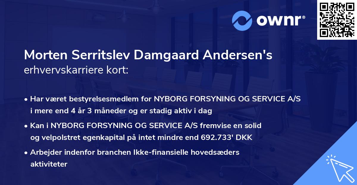 Morten Serritslev Damgaard Andersen's erhvervskarriere kort