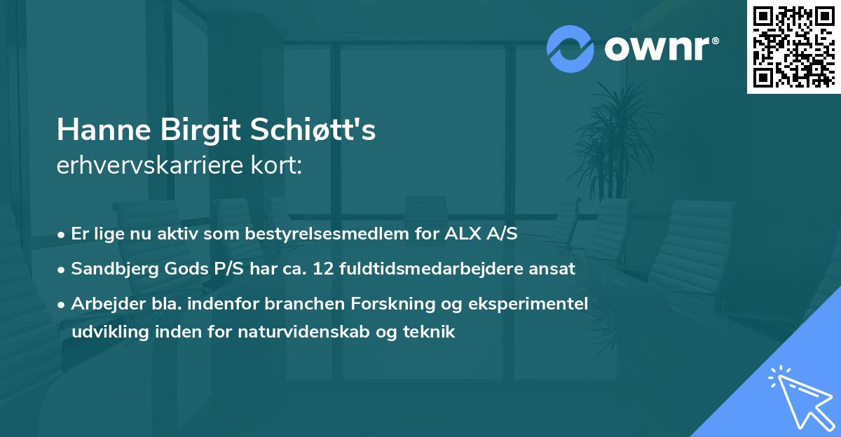 Hanne Birgit Schiøtt's erhvervskarriere kort