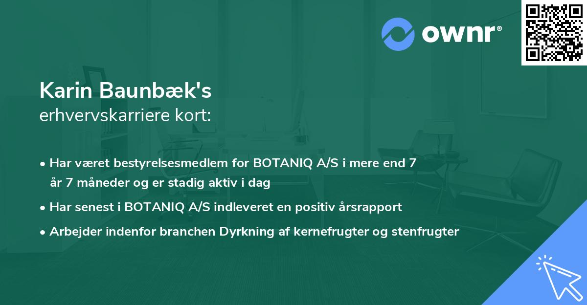 Karin Baunbæk's erhvervskarriere kort