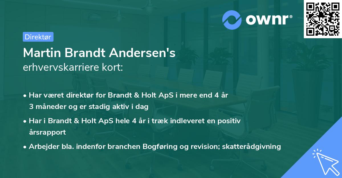Martin Brandt Andersen's erhvervskarriere kort