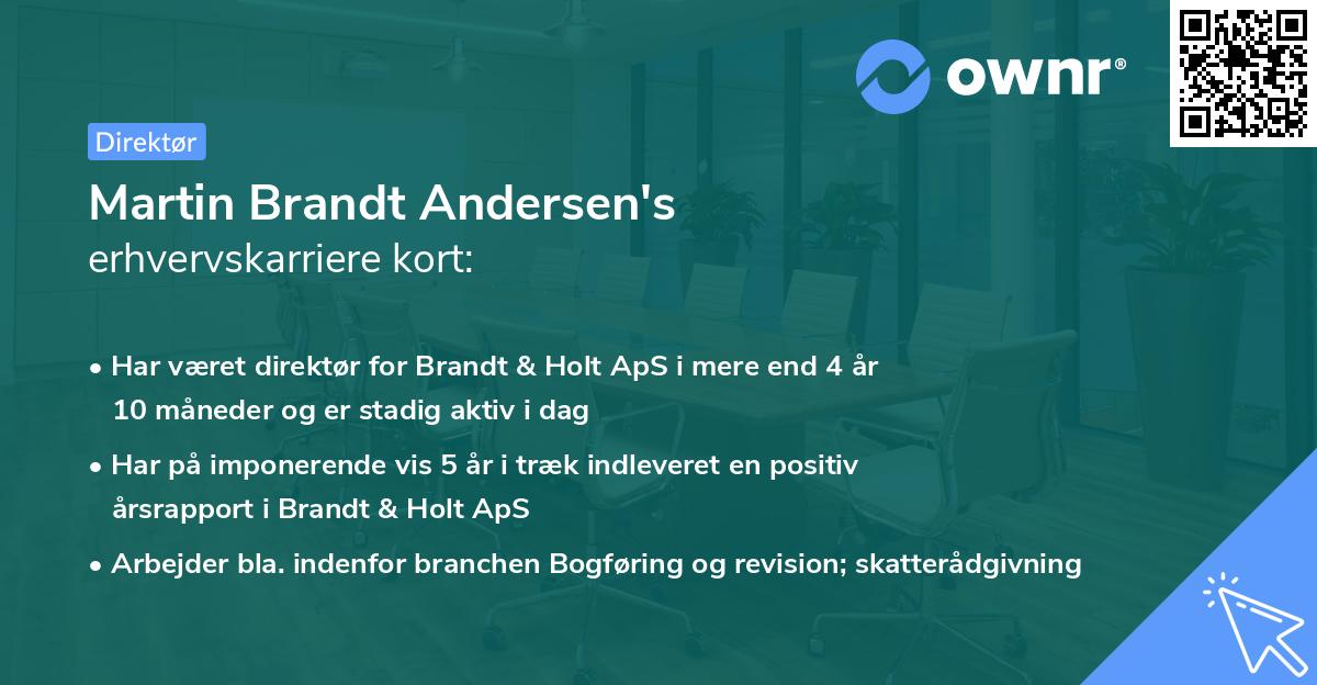 Martin Brandt Andersen's erhvervskarriere kort
