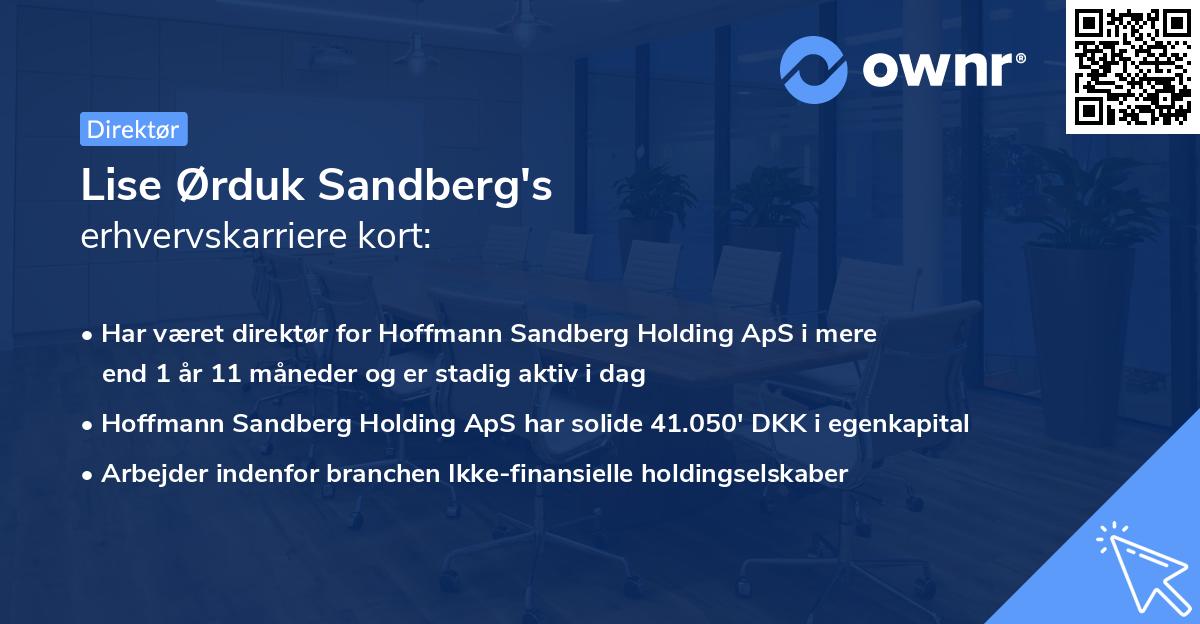 Lise Ørduk Sandberg's erhvervskarriere kort