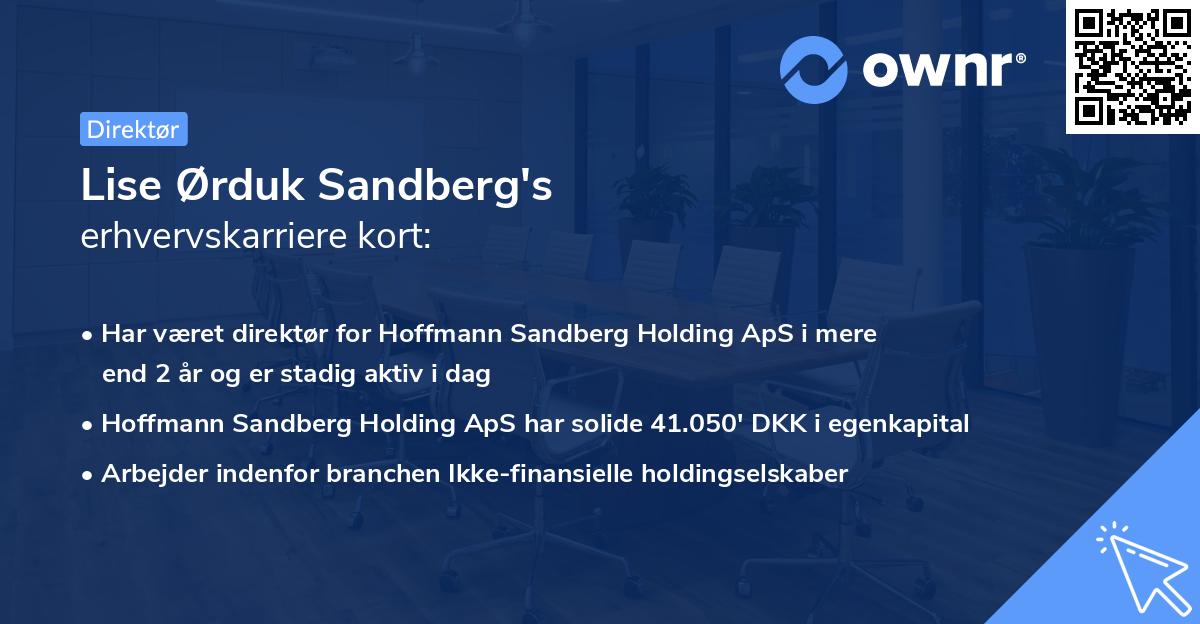 Lise Ørduk Sandberg's erhvervskarriere kort