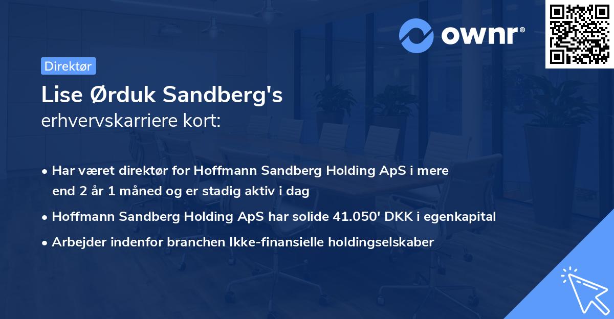 Lise Ørduk Sandberg's erhvervskarriere kort