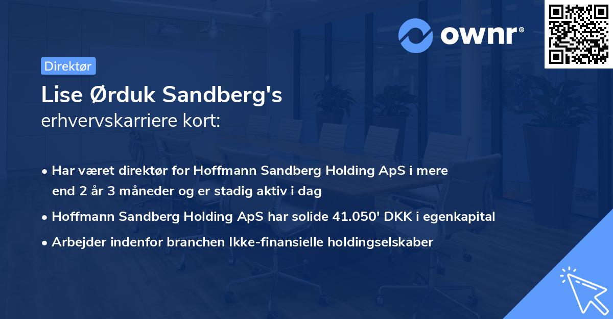 Lise Ørduk Sandberg's erhvervskarriere kort