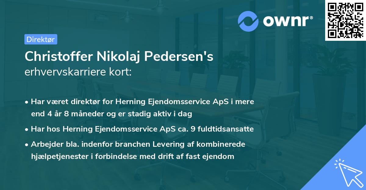 Christoffer Nikolaj Pedersen's erhvervskarriere kort
