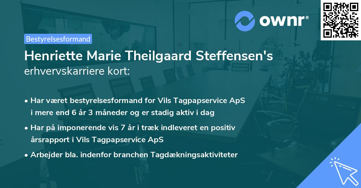 Henriette Marie Theilgaard Steffensen's erhvervskarriere kort