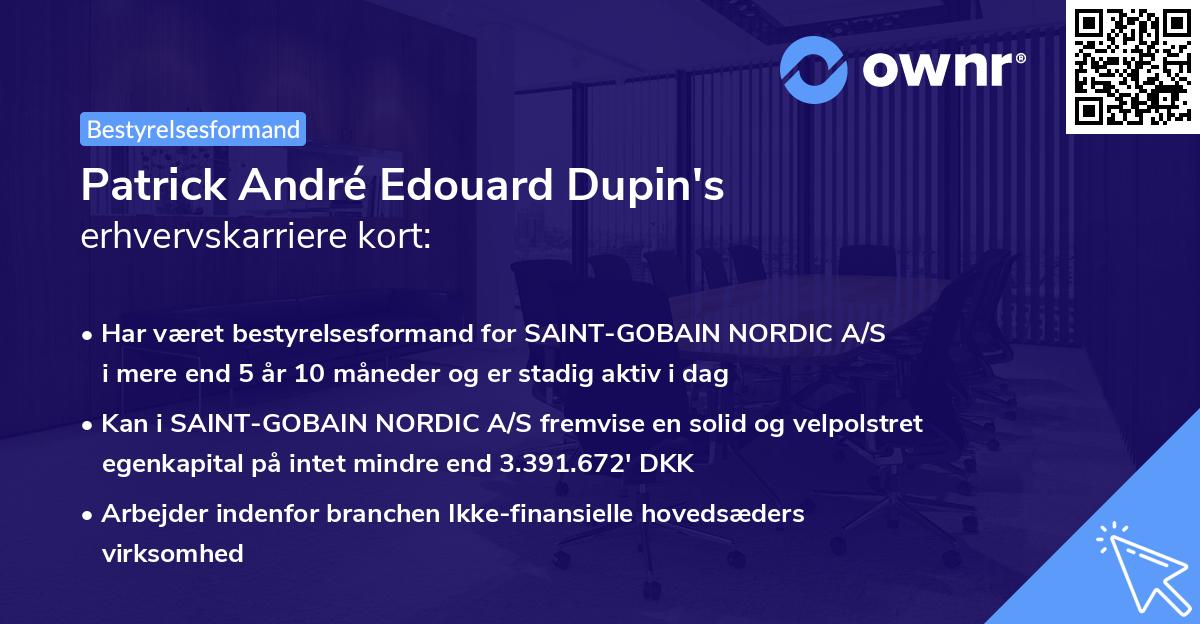 Patrick André Edouard Dupin's erhvervskarriere kort